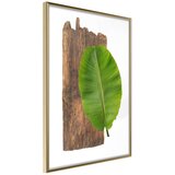  Poster - Forest Nature 20x30 Cijene