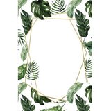 Conceptum Hypnose tepih (50 x 80) Hmnt770 | ePonuda.com