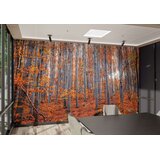 Wallity Tapete za zid MDK-00127, 300x270 cm, Šarena | Eponuda.com