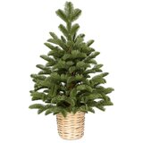  Novogodisnja jelka u saksiji zelena 60cm 250310 Cene