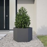 vidaXL Vrtno korito antracit šestkotnik 69x60x45 cm jeklo Cene