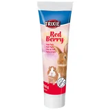 Malt pasta Red Berry za glodavce 100 g