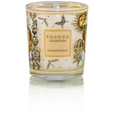 Baobab Collection Tomorrowland darilni set 1 kos | Shoptok.si