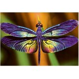 Puzzle 250 KOM COLORFUL NATURE 3 DRAGONFLY INTERDRUK | Shoptok.si