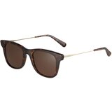Coach Sončna očala '0HC8290' rjava / zlata | Shoptok.si