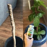 Smania Gnojivo za biljke Floravita | shoptok.hr