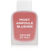 Moist Ampoule Blusher tekoče rdečilo mini odtenek 03 Rose Brown 10 ml