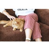 Atelier Del Sofa fotelja wello single brown | Eponuda.com