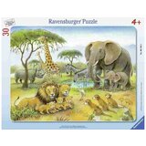 Ravensburger 30 delna sestavljanka Afriške živali, savana 061464 Cene