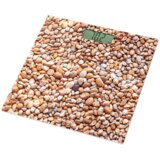 Sencor osobna vaga SBS 2302SN | shoptok.hr