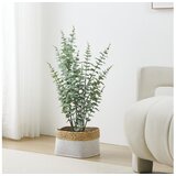 Eglo 428378 - Veštačka biljka u saksiji TOBETSU 76x25,5 cm | Eponuda.com