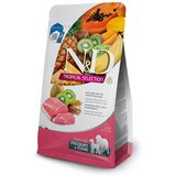 N&d TROPICAL Salmon Medium and Maxi 10 kg Hrana za pse | ePonuda.com