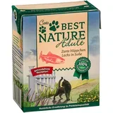 Varčno pakiranje Best Nature Adult Cat 16 x 370 g - Losos v omaki