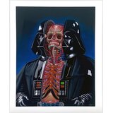 Nychos Dissection of Darth Vader Fine Art Print multicolor Cene
