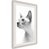  Poster - Sphinx 20x30 | shoptok.hr