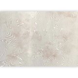  Foto tapeta - Flowing shapes - abstract beige and white background in patterned compositions 500x350 Standard | shoptok.hr
