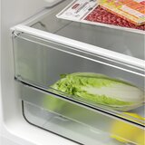 Tesla WG Frižider TESLA RD2100ME dvoje vrata/rucno otapanje/E/168L+42L/55x55x143cm/bela | Eponuda.com