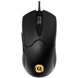 Canyon mouse Accepter GM-211 RGB | Eponuda.ba