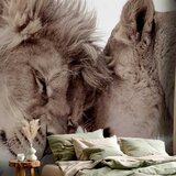 Artgeist Fototapeta Lion Tenderness, 450x315cm | Shoptok.si