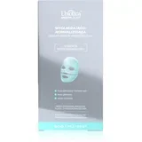 Estetic Clinic Acid Treatment intenzivna hidrogel maska s pomlađujućim učinkom 1 kom