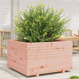  Vrtno cvetlično korito 80x80x49,5 cm trden les douglas | Shoptok.si