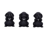 NEMESIS NOW THREE WISE LABRADORS 8.5CM KIPCI | Shoptok.si