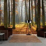  Tapeta - Autumn trees 350x270 Cijene