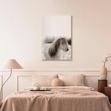  Slika - Horse Mane (1 Part) Vertical 40x60 Premium Print | shoptok.hr