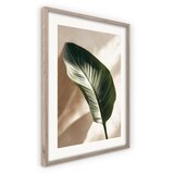 Styler Tiskana slika z okvirjem 50x70 cm Strelizia Leaf – | Shoptok.si
