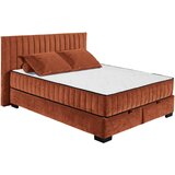 MID.YOU POSTELJA Z VZMETNICO 160 cm x 200 cm , tekstil, leseni material barve konjaka | Shoptok.si