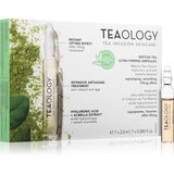 Teaology Anti-Age Matcha Tea Ultra-Firming Ampoules ampule za hidracijo in učvrstitev kože 7x2,5 ml | Shoptok.si
