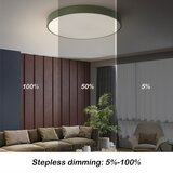  Brilagi - LED prigušiva stropna svetiljka POOL LED/60W/230V 3000-6000K 60 cm zelena+daljinski upravljač | Eponuda.com