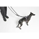 MiaCara Tamno sivi preklopni povodac dužina 200 cm Modena Asphalt 25 mm – | shoptok.hr