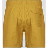 Patagonia Kratke hlače & Bermuda M'S HOME WATERS VOLLEY SHORTS - 16 IN. Rumena | Shoptok.si
