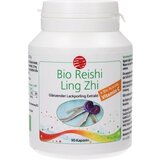 SanaCare reishi Extrakt Bio Cene