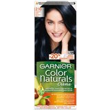 Garnier Color Naturals Krema za Lase 2.10 - Vinsko Črna, (22068005) Cene