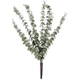  UKRAS EUKALIPTUS LIONEL 50CM ZELENI Cijene
