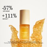 Payot Source Nutrition olje za ustnice 5 ml | Shoptok.si