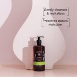 Apivita Tonic Mountain Tea Revitalizing Body Ritual božićni poklon set za regeneraciju kože | shoptok.hr
