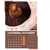  KALENDAR "IGRE PRIRODE 2026" 13 LISTOVA, SPIRALA | Shoptok.si