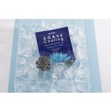 Petitfée Agave Cooling intenzivna hidrogelna maska za pomiritev kože 32 g | Shoptok.si