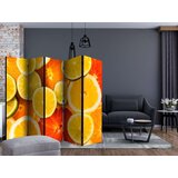  Paravan u 5 dijelova - Citrus fruits II [Room Dividers] 225x172 | shoptok.hr