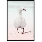  Slika - Winter Duck (1 Part) Vertical 80x120 U crnom drvenom okviru | shoptok.hr