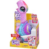 Little Live plišasta želva gotta go | Shoptok.si