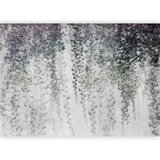  Foto tapeta - Peaceful oasis - landscape of hanging black leaf vines on a grey background 98x70 | shoptok.hr