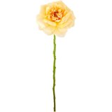 Mömax Vrtnica Rose Ii -Paz- Cene