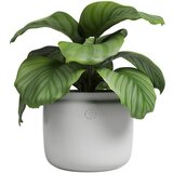Artevasi Keramička ručno rađena tegla za cvijeće ø 26 cm Astrea – | shoptok.hr