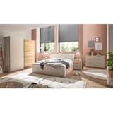 Modern Living Postelja S Predalom Tessona, Kašmir, Barva Hrasta, 180x200 | Shoptok.si