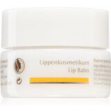 Dr. Hauschka Eye And Lip Care balzam za usne s hranjivim učinkom 4,5 ml | shoptok.hr