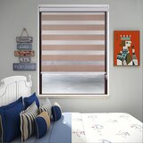 Boxxx DVOJNI ROLO pol prosojno 140/160 cm | Shoptok.si